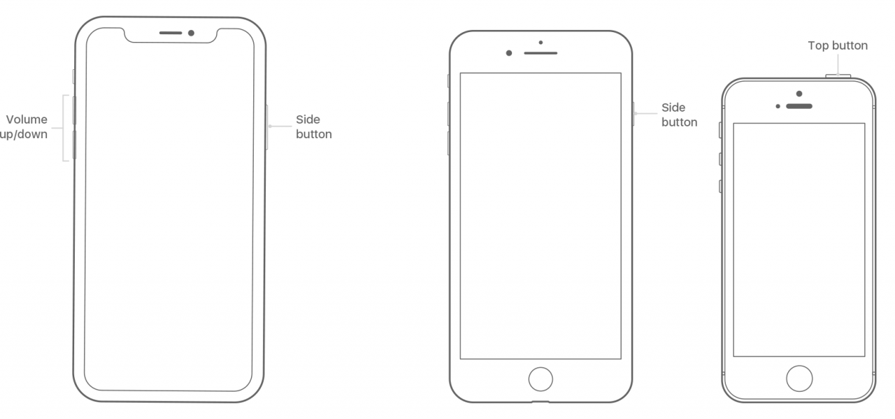 Make sure you know the names of your iPhone’s buttons. 